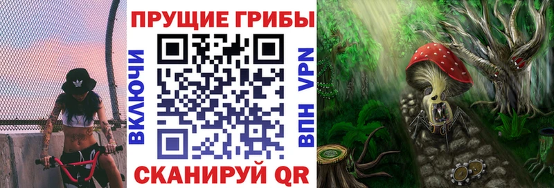 Псилоцибиновые грибы Magic Shrooms  Пойковский 